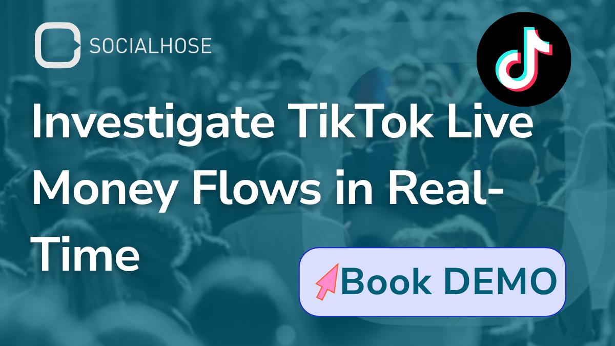 The TikTok Investigator — 官网预览图